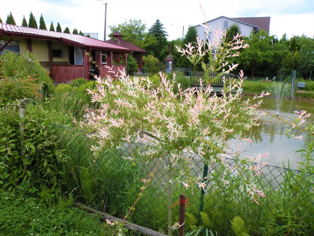 Pokoje Zabi Staw Mikołajki المظهر الخارجي الصورة